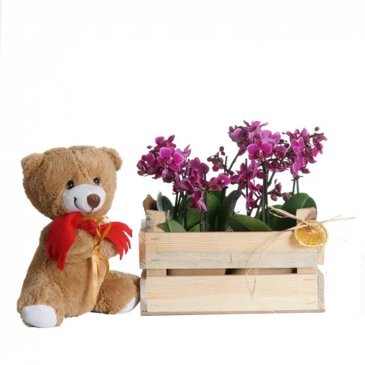 Orchid Plush Tedddy Bear