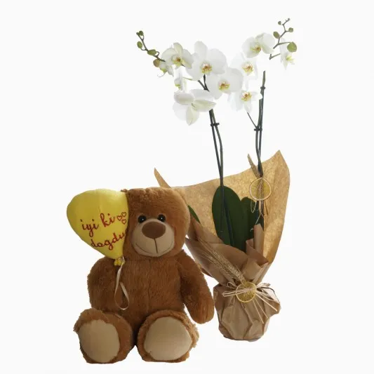 White Orchid And Teddy Bear
