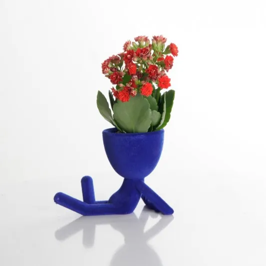 Red Kalanchoe