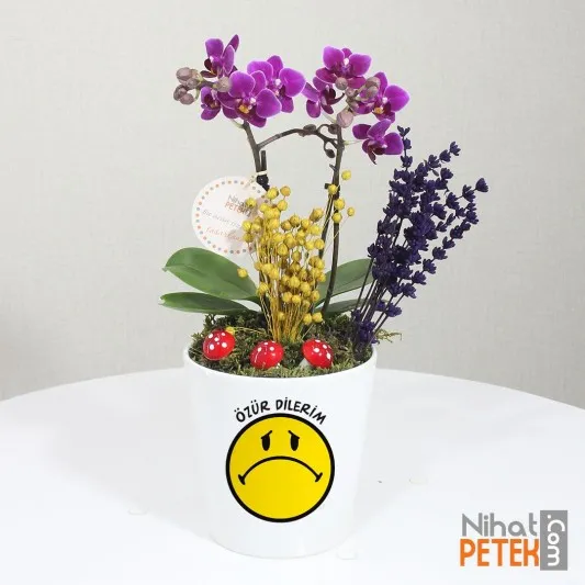 Özür Dilerim Orkidem
