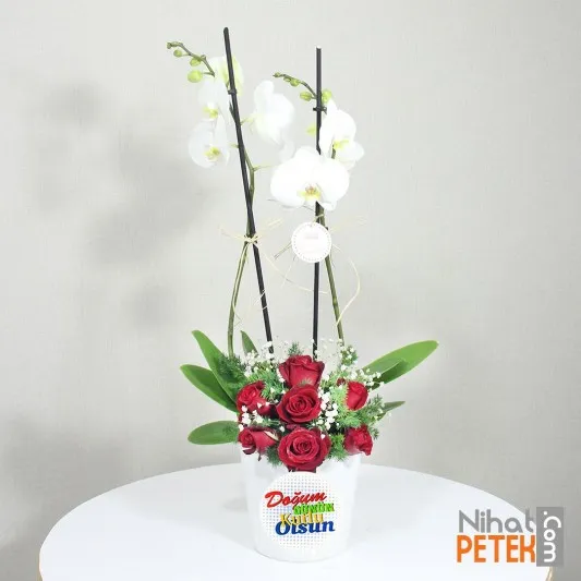 Tatlı Orkide ve Güllerim