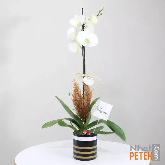 Seni Seviyorum Pankartlı Beyaz Orkidem