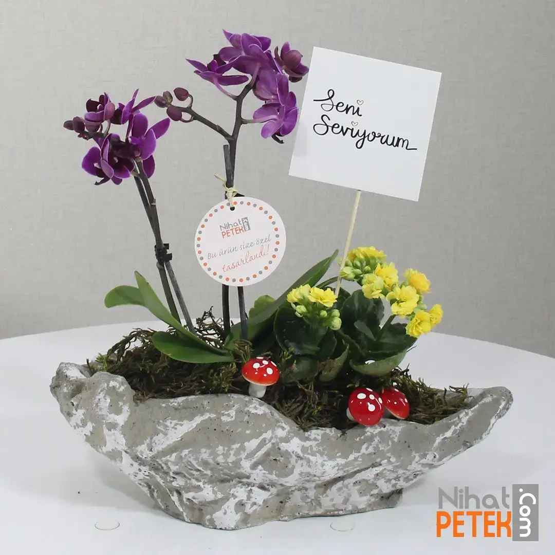 Seni Seviyorum Pankartlı Sarı Kalanchoe