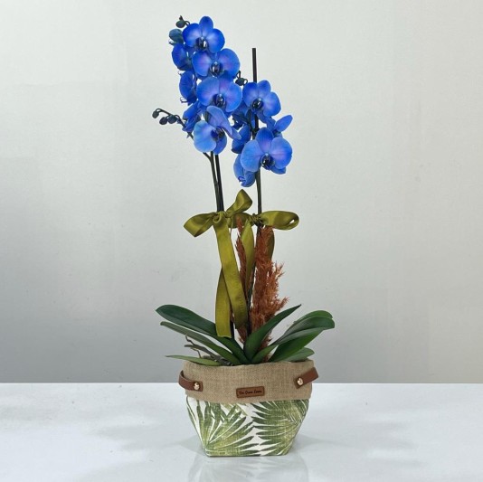Mavi Orkide Sepeti