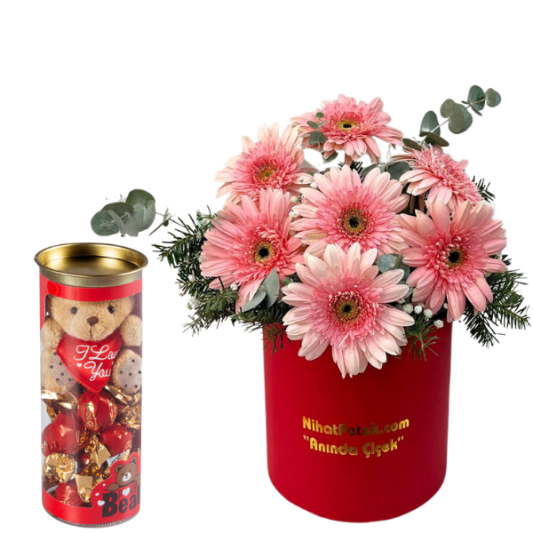 Gerbera Pembe Gülüşler