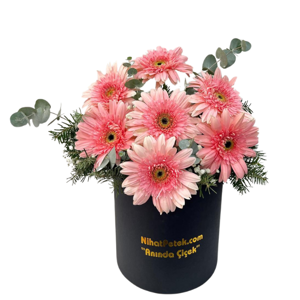 Pembe Gerbera Sonsuzluğu