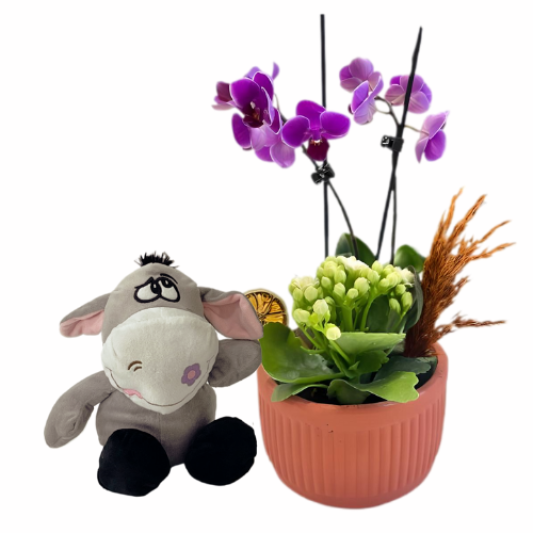 Peluş ve Çiçek Şıklığı