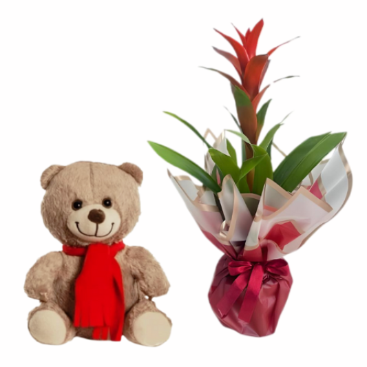 Peluş Yeşil Sevgi