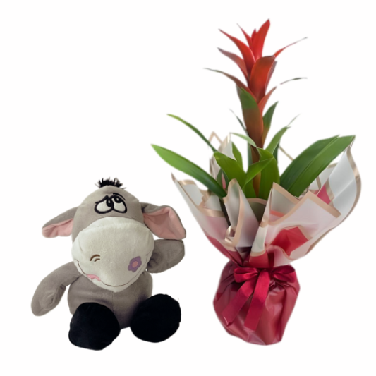 Peluş Kırmızı Neşe