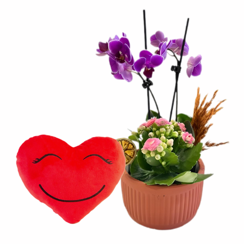 Romantik Saksı Dokunuşu