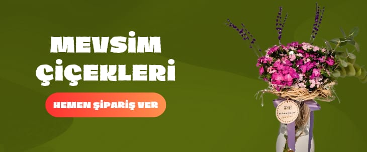 Nihat Petek