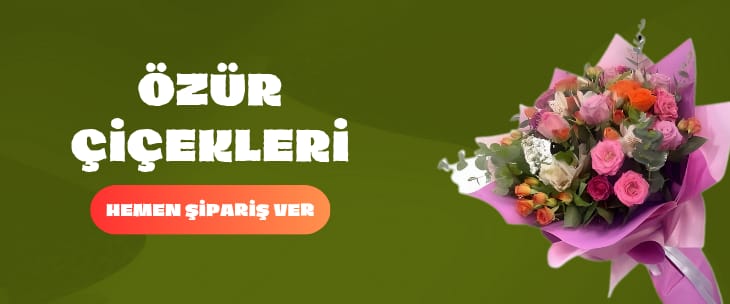 Nihat Petek