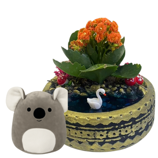 Kalonşe ve Peluş Koala