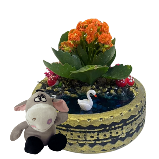 Peluşlu Kalonşe