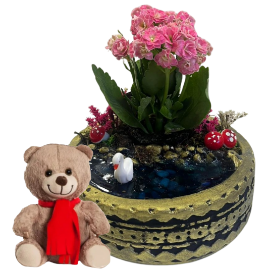 Peluş Ayıcığın Pembesi
