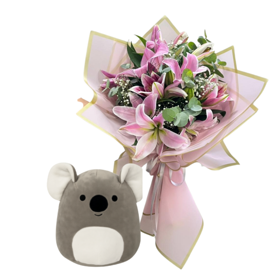 Koala ve Lilyum