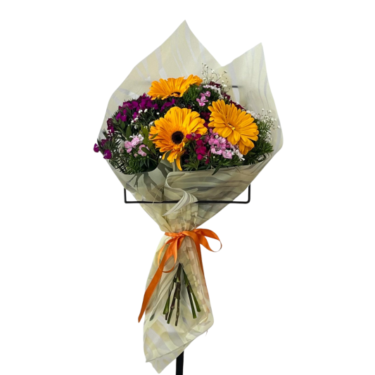  Turuncu Gerbera Şöleni