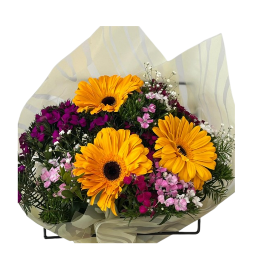  Turuncu Gerbera Şöleni