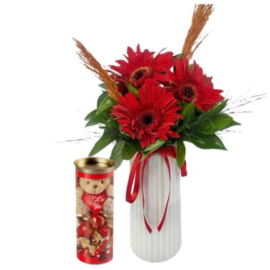 Gerbera Lezzeti Gerbera Lezzeti