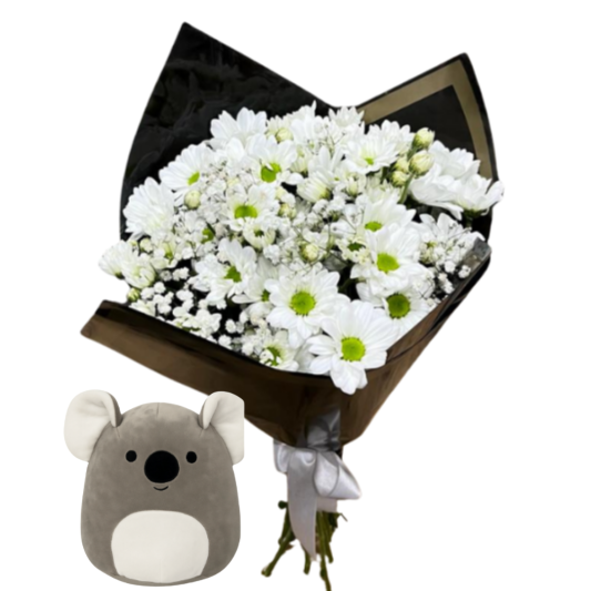 Koala ve Papatya