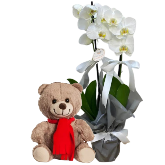 Peluş Dokunuşlu Zarafet Peluş Dokunuşlu Zarafet