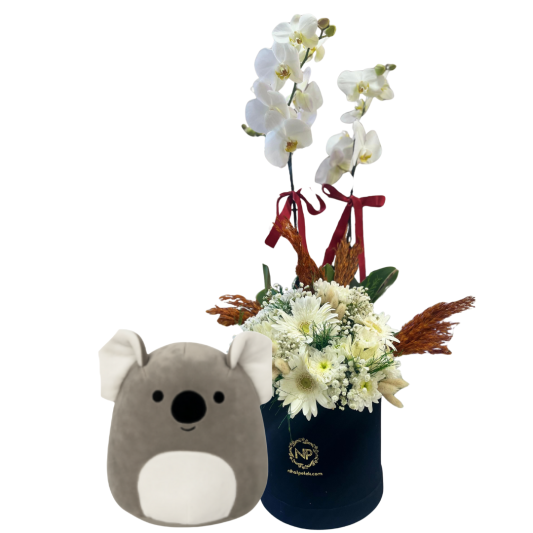 Neşeli Beyaz Neşeli Beyaz