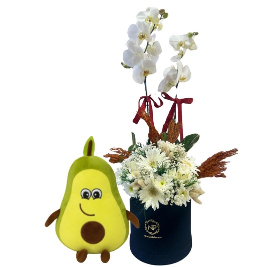 Beyaz Mutluluk Beyaz Mutluluk