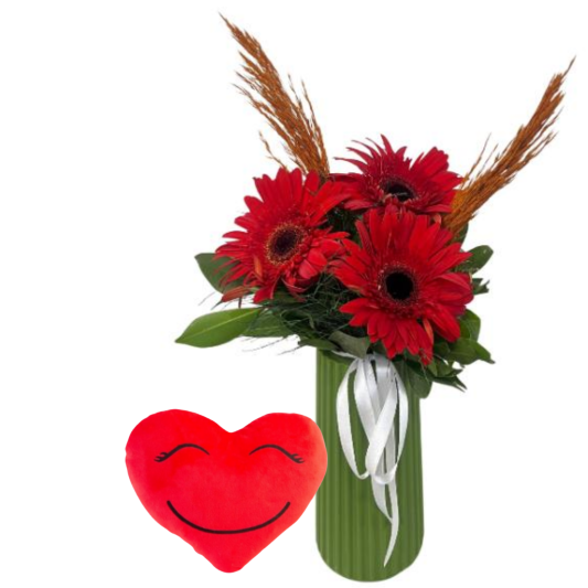 Gerbera Rahatlığı
