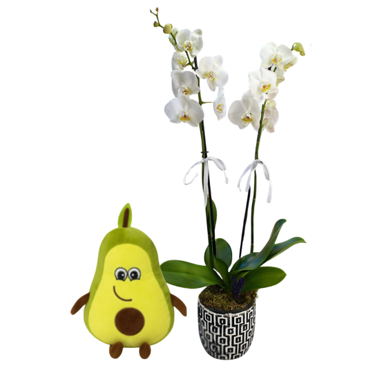 Sade ve Sevimli Set Sade ve Sevimli Set