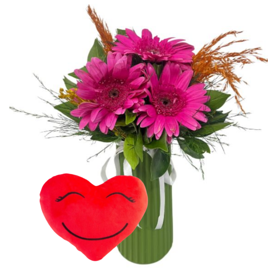 Gerbera Konforu Gerbera Konforu