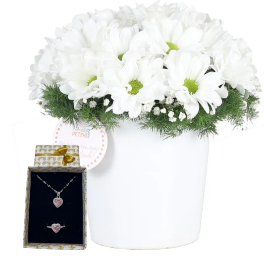 Masumiyetin Parıltısı