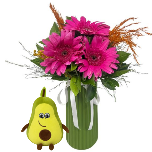Avakadolu Gerbera Avakadolu Gerbera