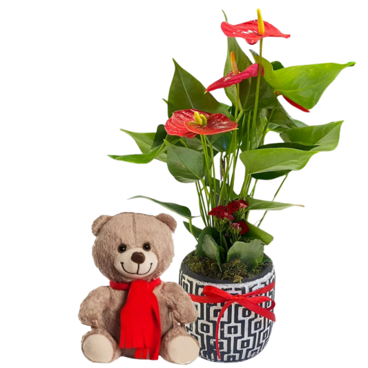 Peluş Neşe Buketi Peluş Neşe Buketi