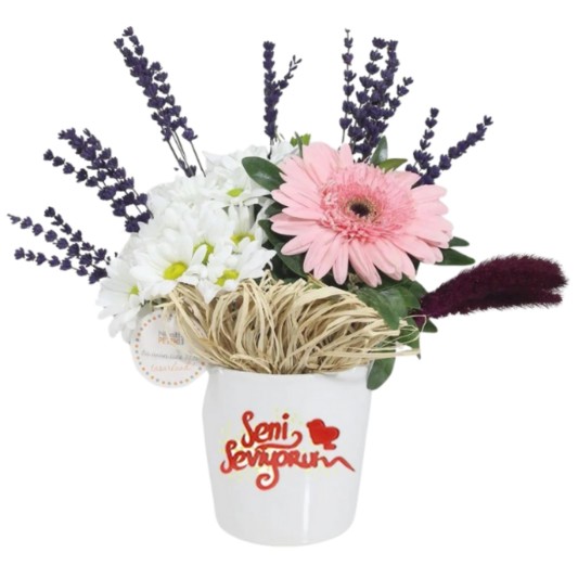 Seni Seviyorum Hediyesi