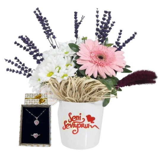 Seni Seviyorum Hediyesi