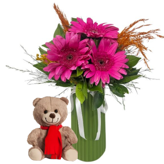 Gerbera Güzelliği Gerbera Güzelliği