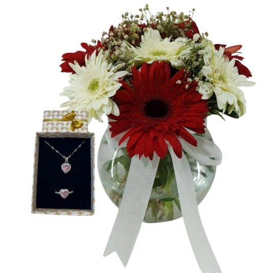 Göz Alıcı Gerberalar