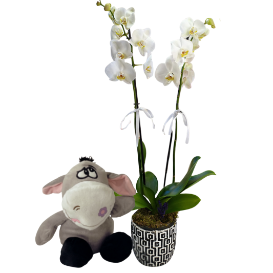 Peluş Eşek Buketi Peluş Eşek Buketi