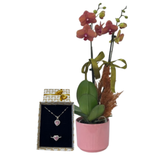 İhtişamlı Dokunuş İhtişamlı Dokunuş