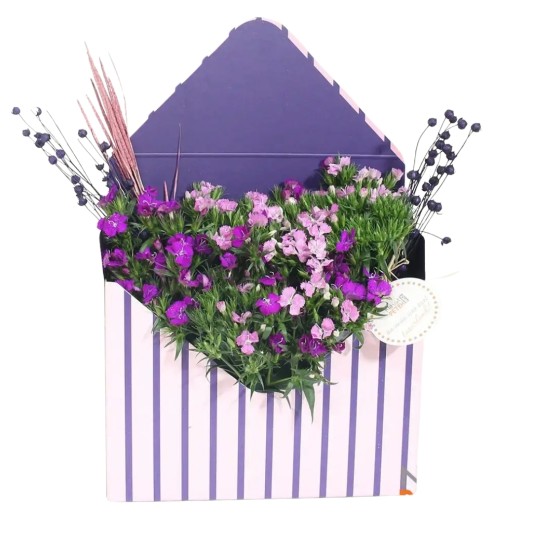 Zarf Kutuda Hüsnüyusuf Zarf Kutuda Hüsnüyusuf