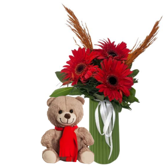 Ayıcık Ve Gerbera Ayıcık Ve Gerbera