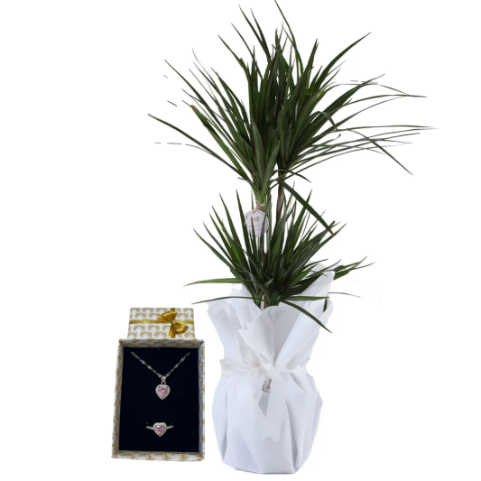 Huzurun Sesi Huzurun Sesi