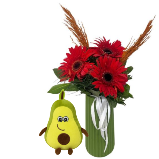 Gerbera Meyvesi Gerbera Meyvesi