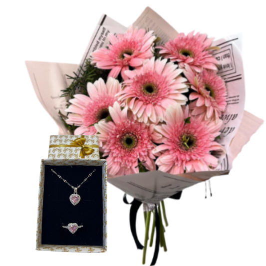 Pembe Işıltı Dansı