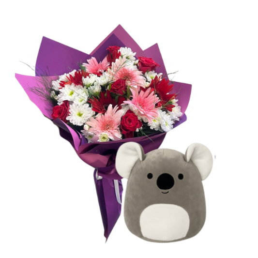 Koala Dokunuşu
