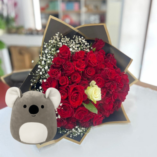 Koala Sarılması