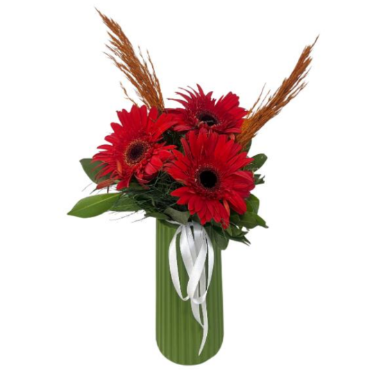 Gerbera Rahatlığı