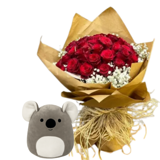 Koala İle Mutluluk