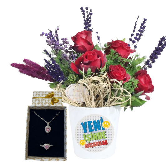 Yeni Başlangıçlar