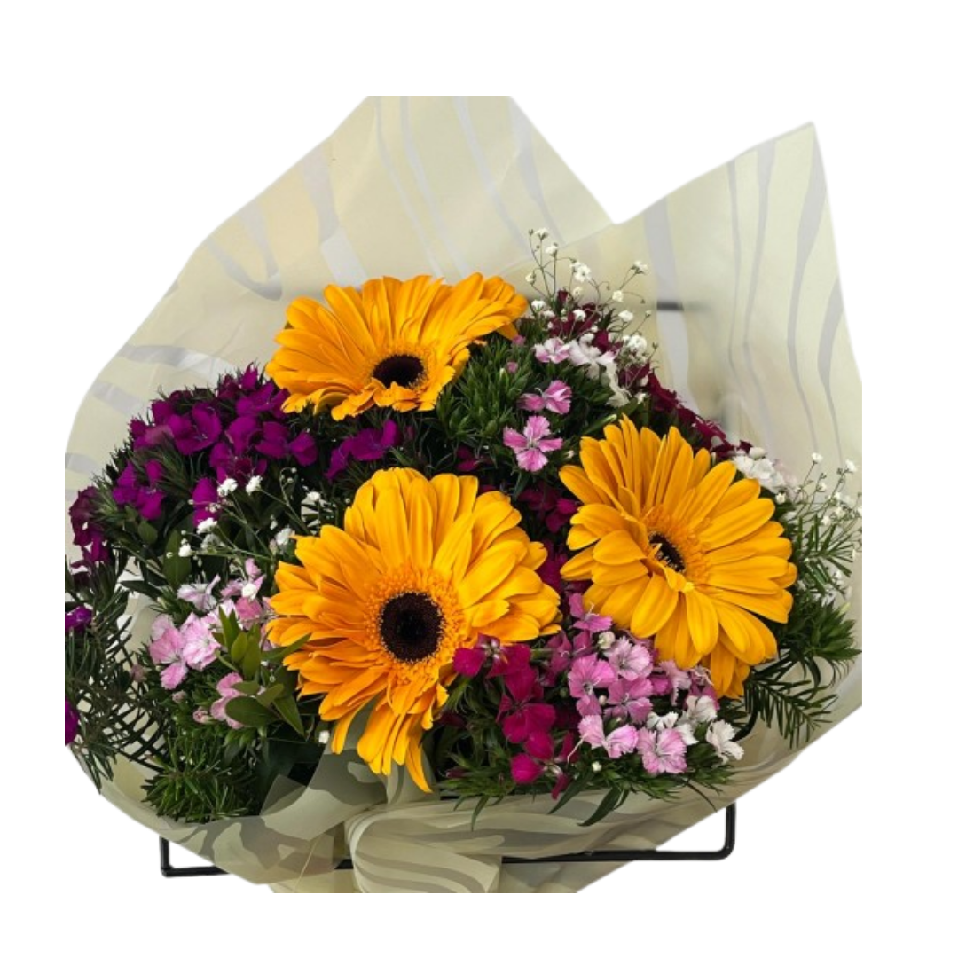  Turuncu Gerbera Şöleni